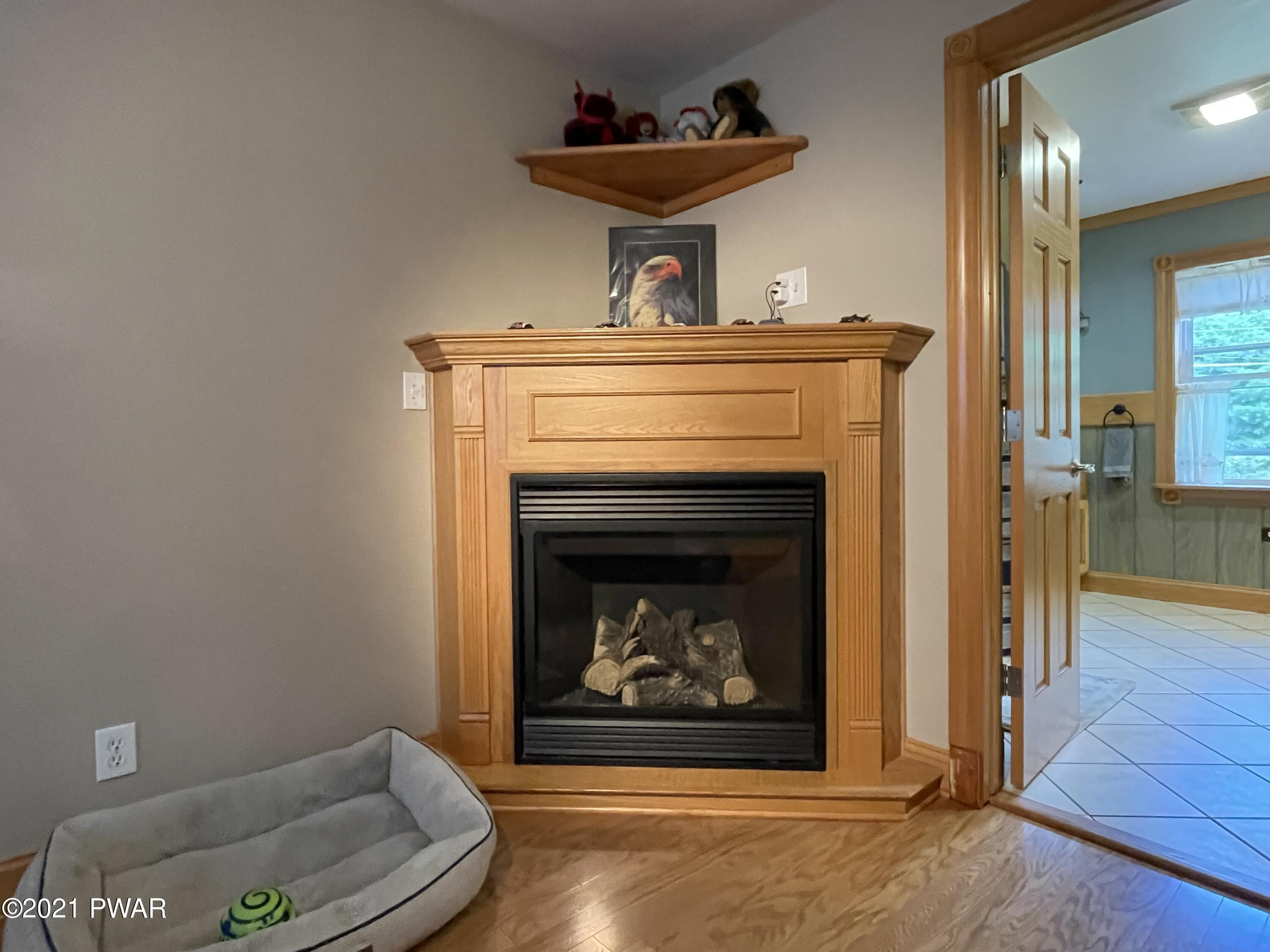 116 Cabin Ridge Road Hawley, PA 18428 - Photo 28 of 65 Master Fireplace