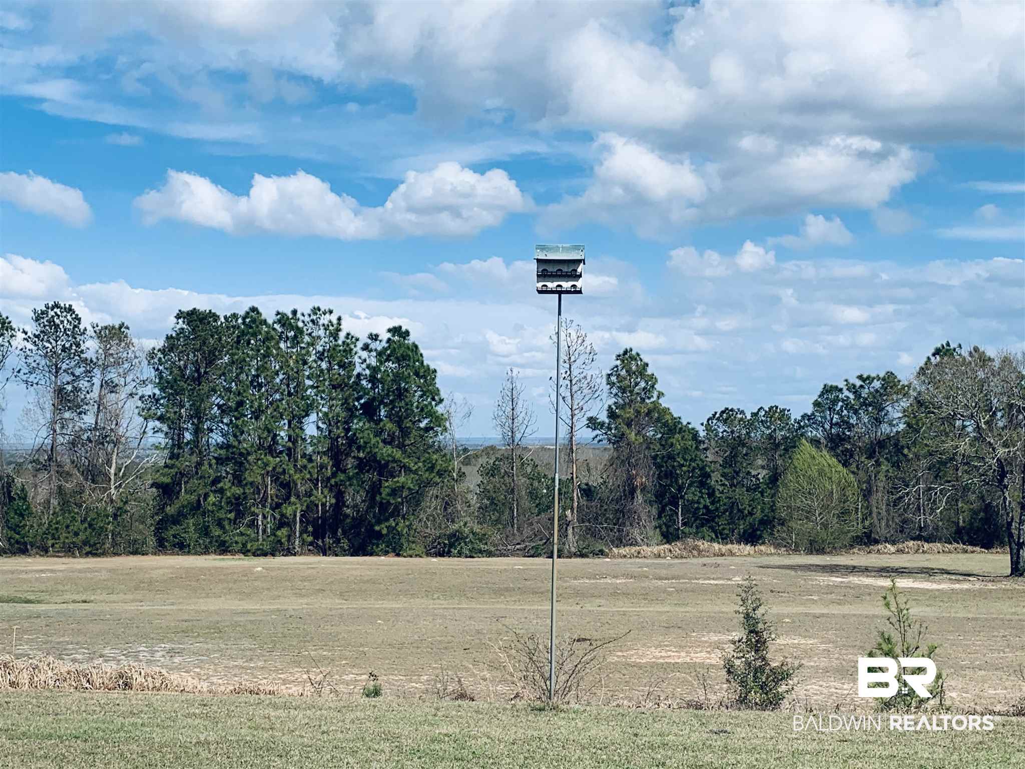 1495 Salco Road Axis, AL 36505 - Photo 46 of 50