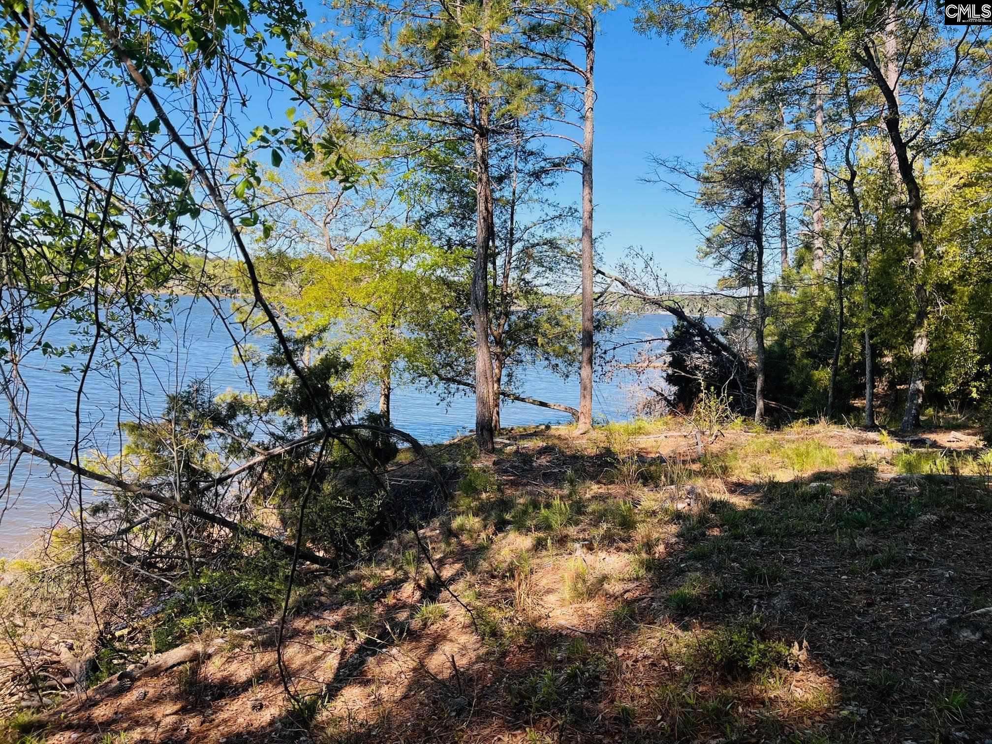 0 Lands End Lane Prosperity, SC 29127 - Photo 5 of 20