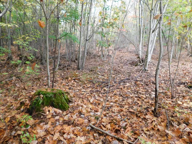 $138,000 | 0 Kelley Road, Orono, ME 04473