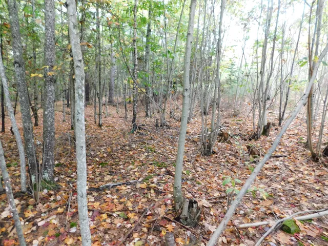 $138,000 | 0 Kelley Road, Orono, ME 04473