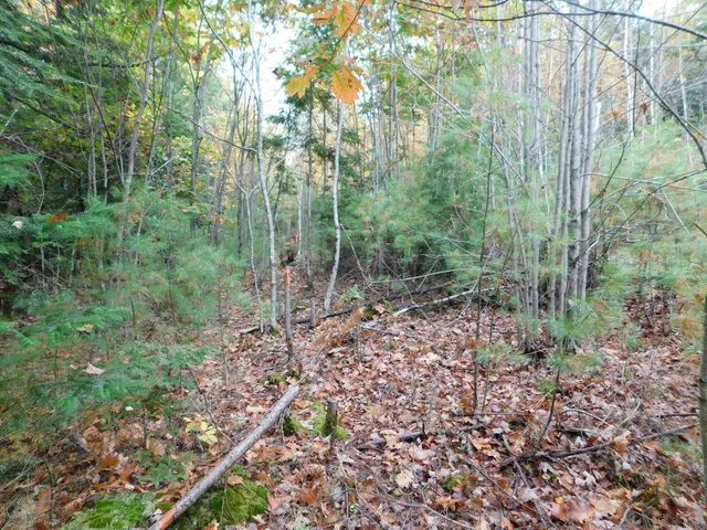 $138,000 | 0 Kelley Road, Orono, ME 04473