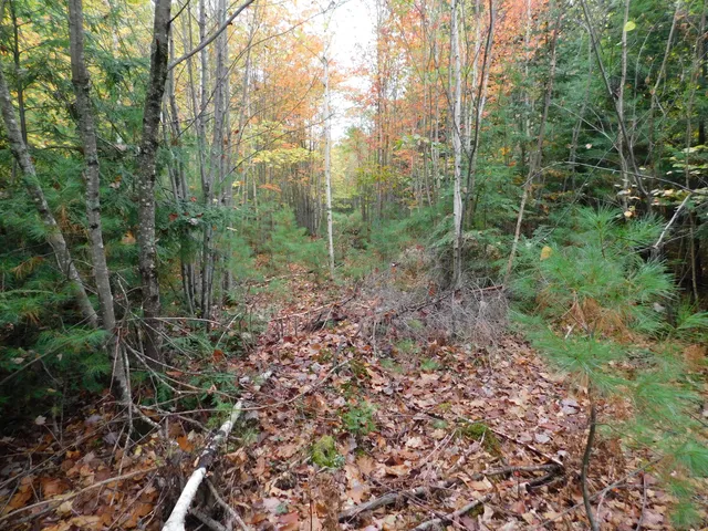 $138,000 | 0 Kelley Road, Orono, ME 04473