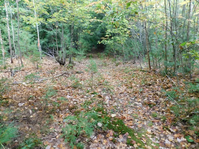 $138,000 | 0 Kelley Road, Orono, ME 04473