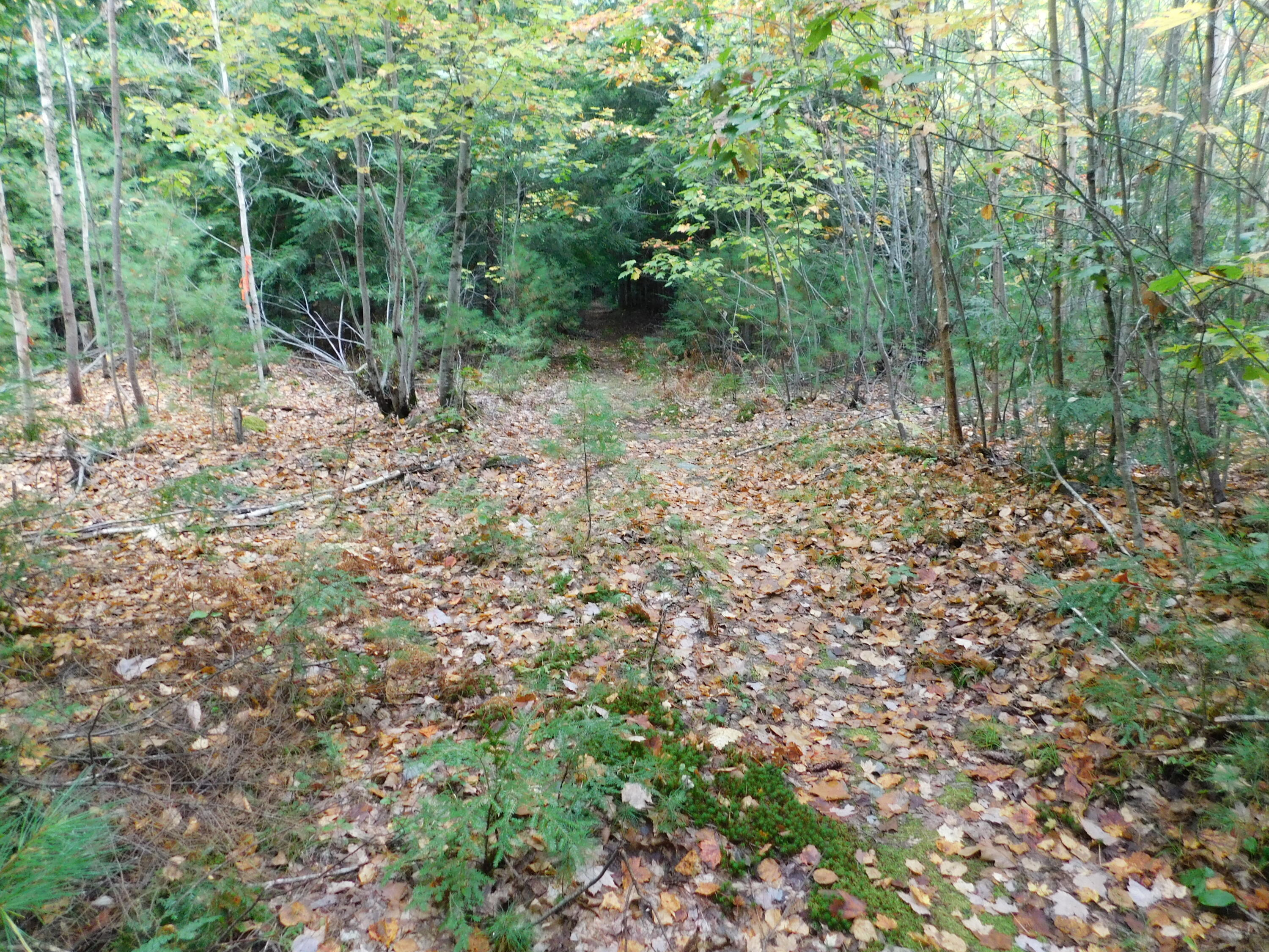 0 Kelley Road Orono, ME 04473 - Photo 8 of 11 DSCN0198