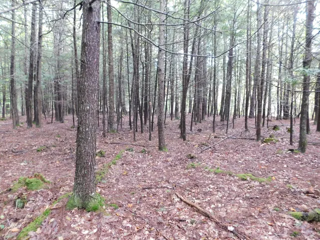 $138,000 | 0 Kelley Road, Orono, ME 04473