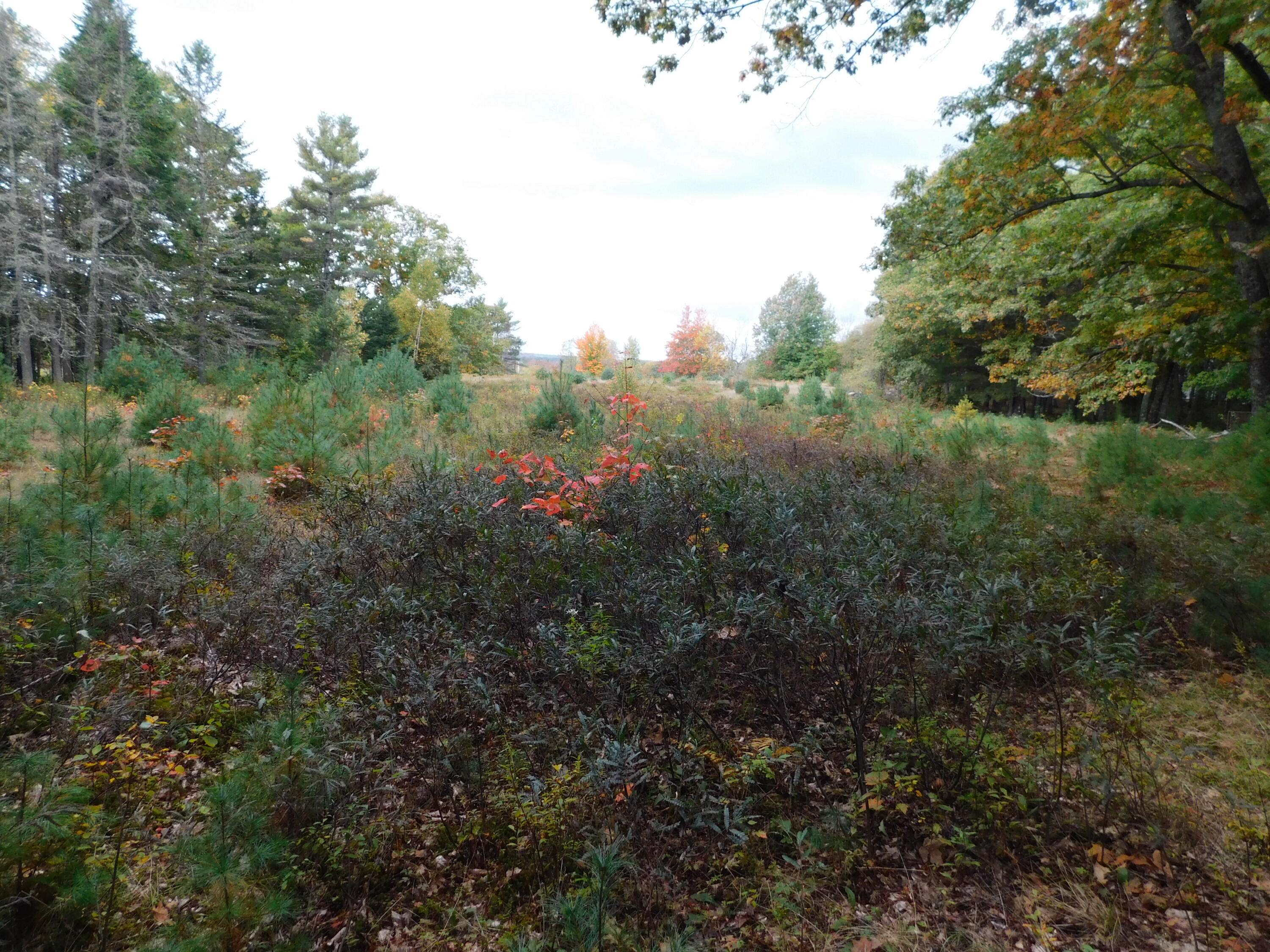 0 Kelley Road Orono, ME 04473 - Photo 10 of 11 DSCN0200
