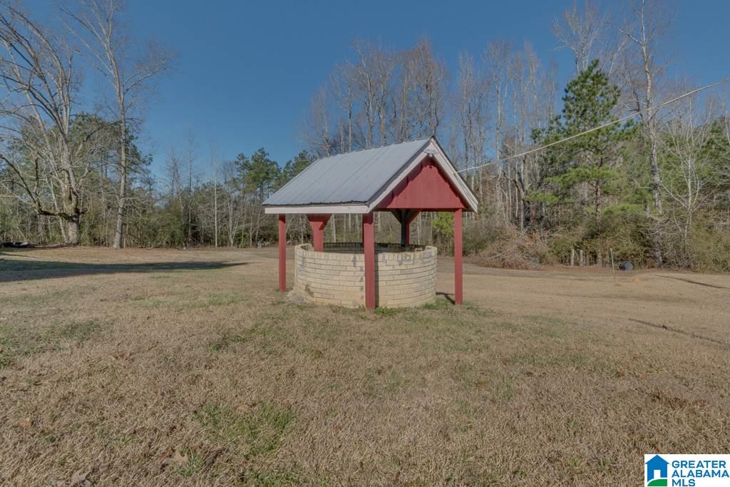 434 County Road 403 Clanton, AL 35045 - Photo 42 of 50