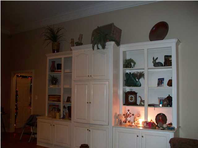 Built-ins in family room