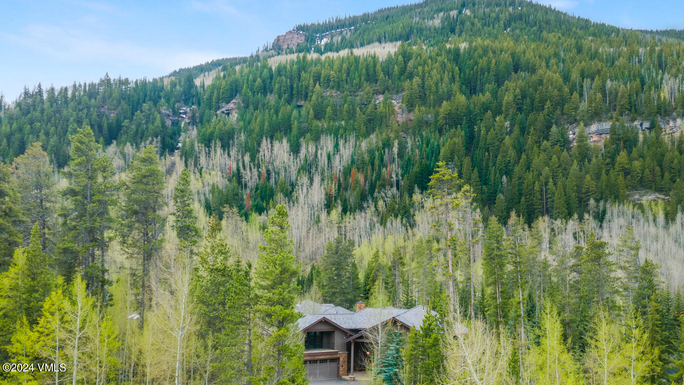 4084 Big Horn Road Vail, CO 81657 - Photo 55 of 68 4084 Bighorn Rd MLS-56