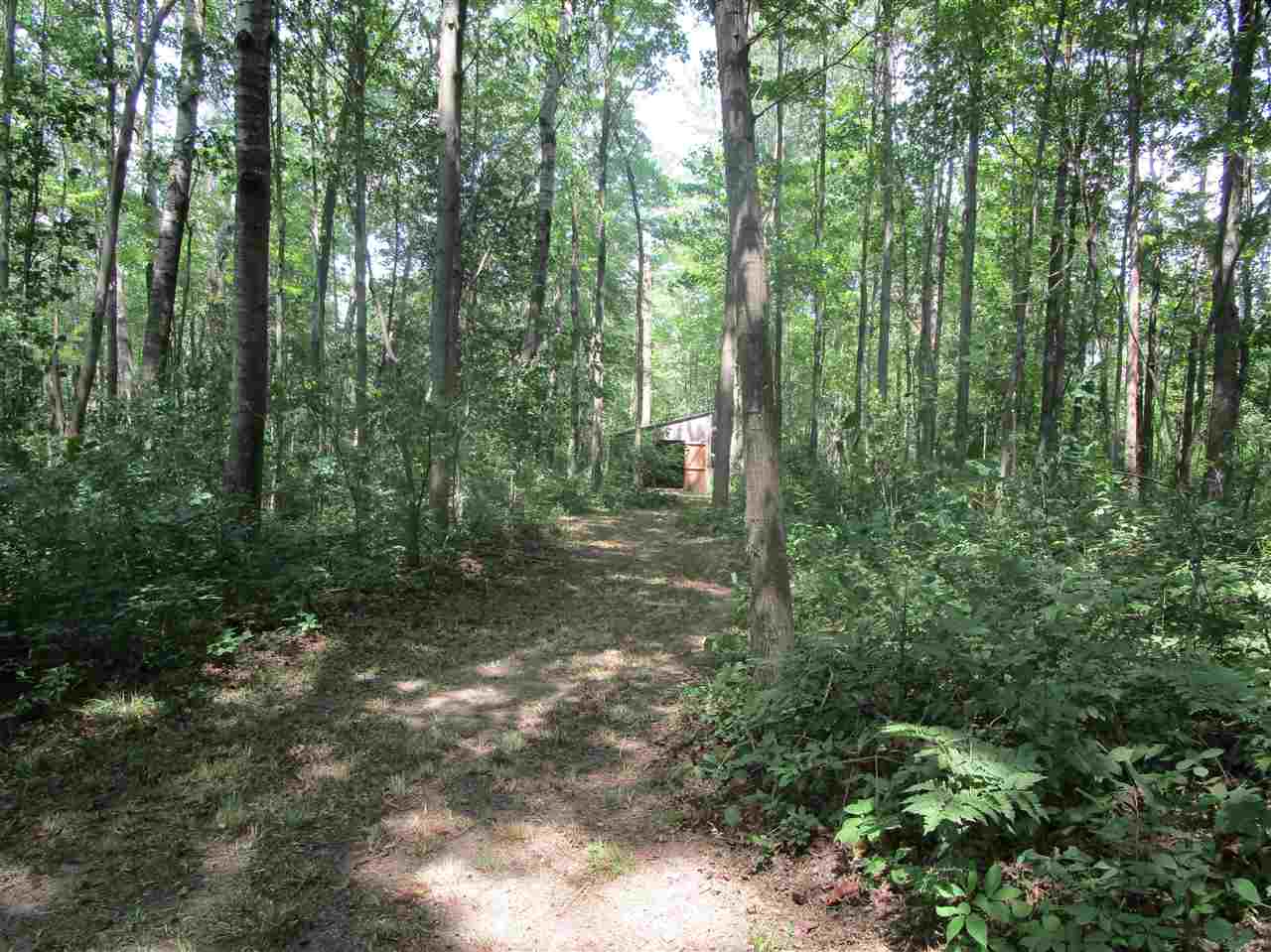 3818 Klender Road Rhodes, MI 48652 - Photo 25 of 42