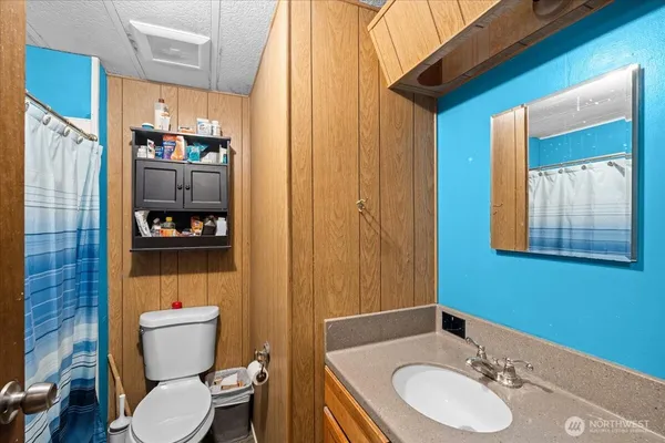 a bathroom with a sink a toilet and shower curtain
