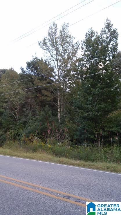 7925 Miller Road Warrior, AL 35180 - Photo 1 of 1