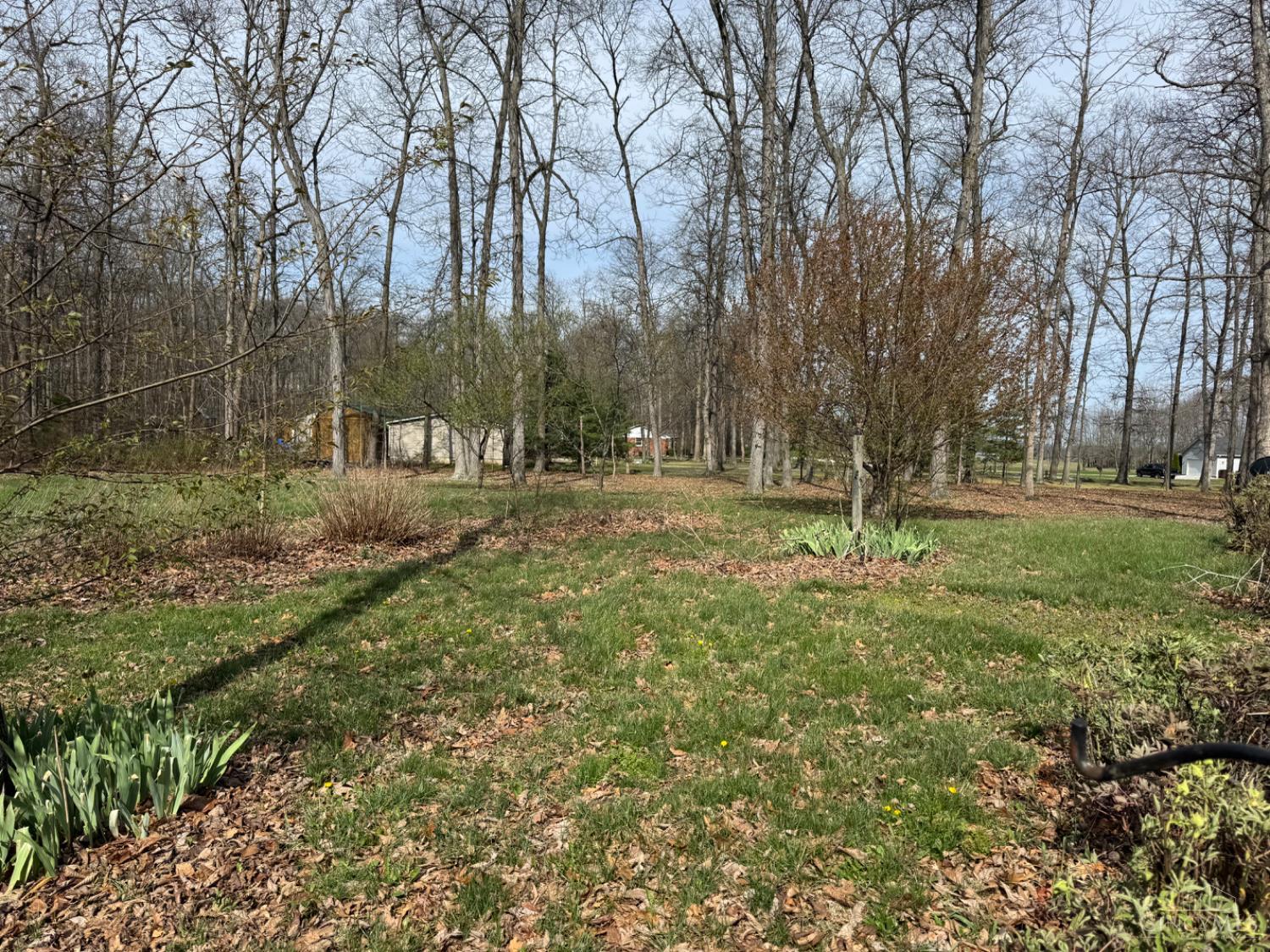7212 Kelch Road Sardinia, OH 45171 - Photo 89 of 90
