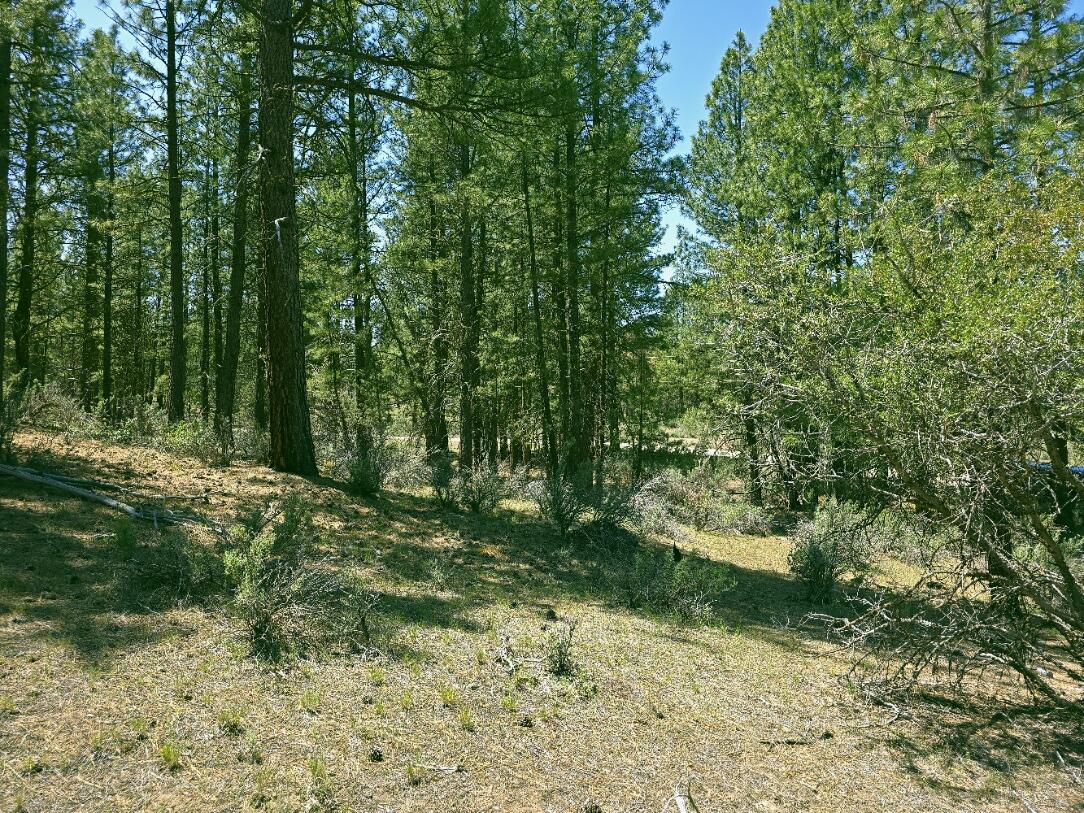 0 Elde Street, Unit 20 Chiloquin, OR 97624 - Photo 8 of 10