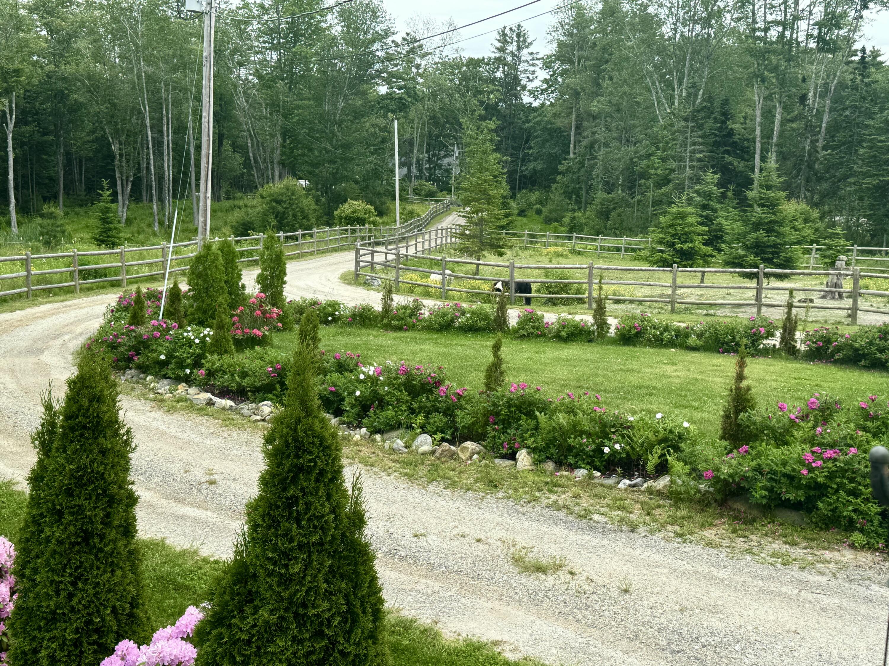 138 Coombs Road Brunswick, ME 04011 - Photo 67 of 77 IMG_20260128_074845