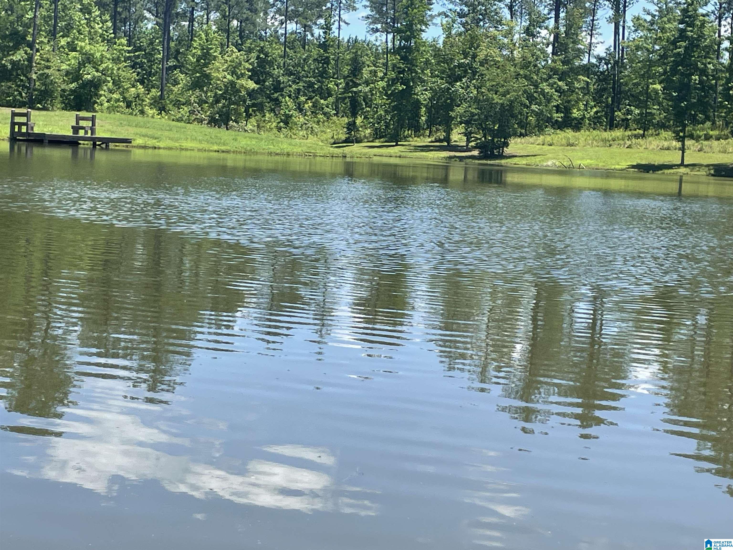 0 Chelsea Farms Road, Unit 24 Chelsea, AL 35043 - Photo 2 of 37
