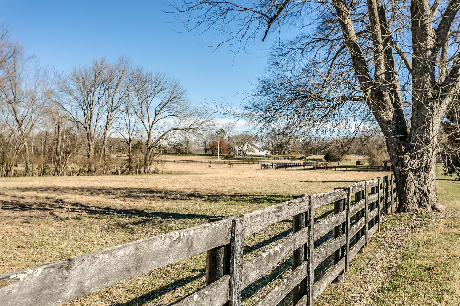 3208 Boxley Valley Road Franklin, TN 37064 - Photo 17 of 21 Gallery Image 17