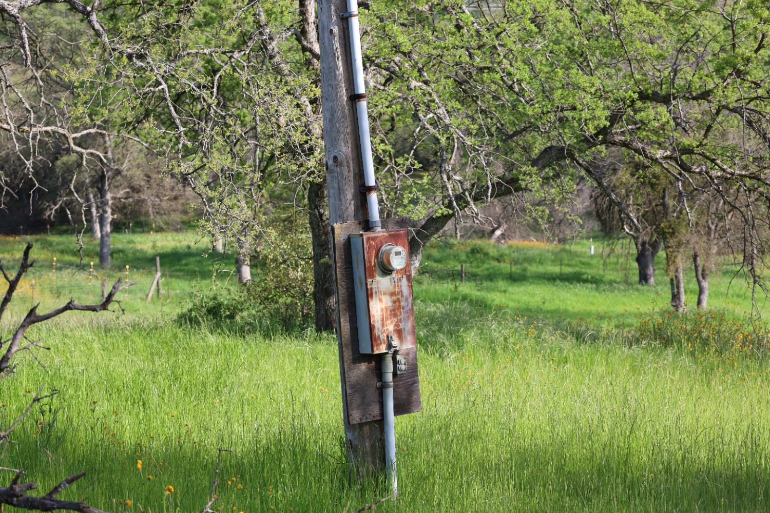 10 Douglas Road South Coarsegold, CA 93614 - Photo 15 of 29 Gallery Image 15