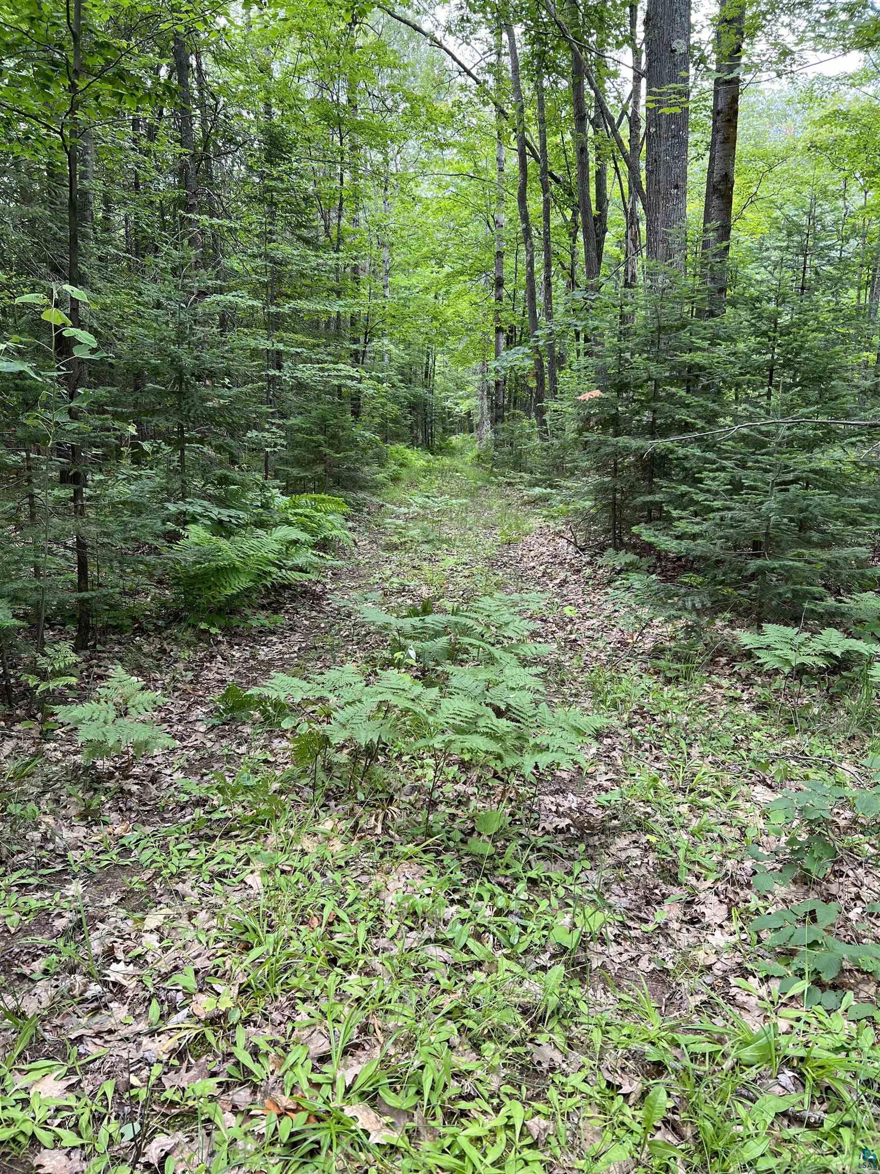 Xxxx South Maple Hill Road Washburn, WI 54891 - Photo 11 of 21 Gallery Image 11
