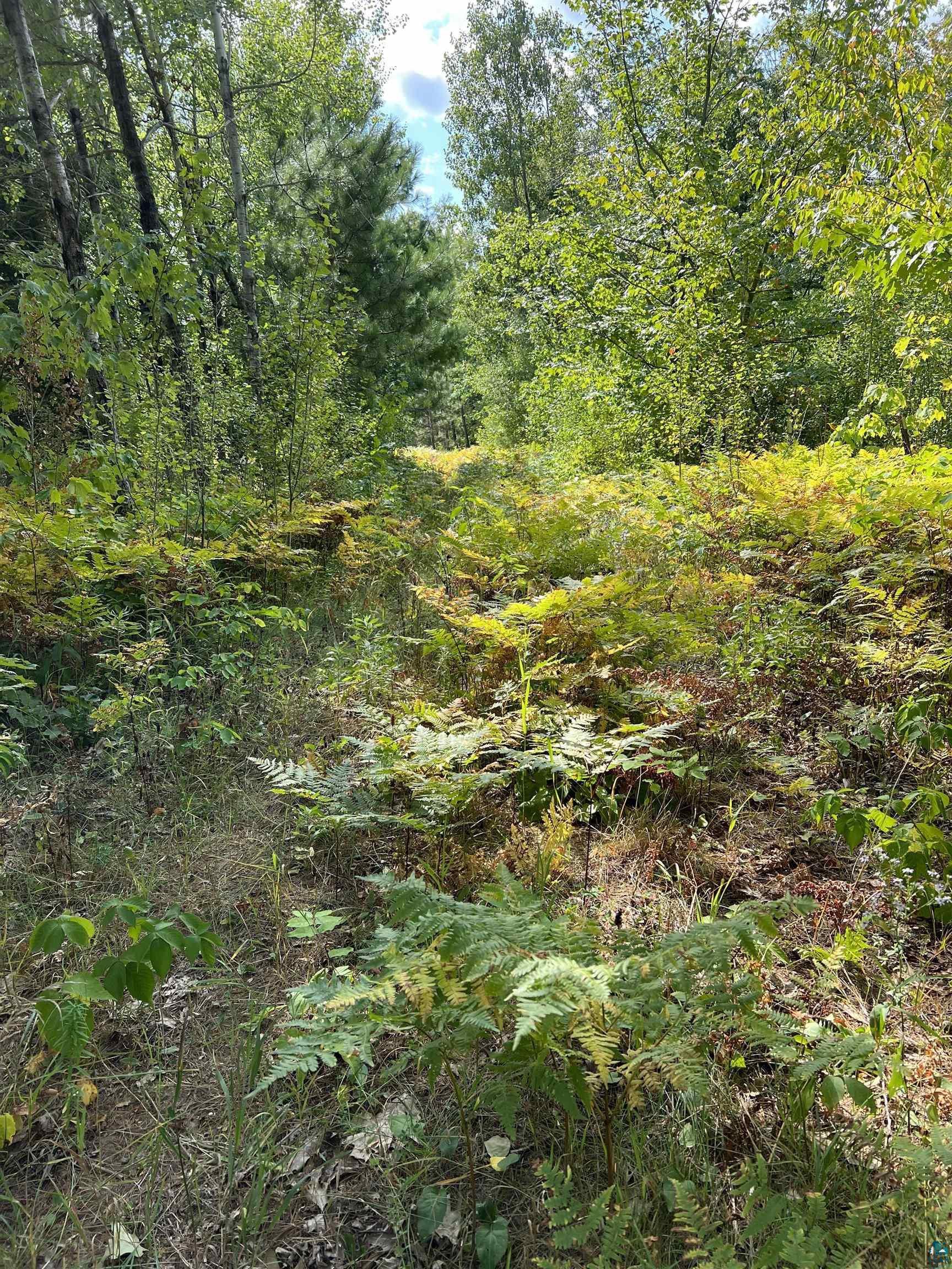 Xxxx South Maple Hill Road Washburn, WI 54891 - Photo 13 of 21 Gallery Image 13