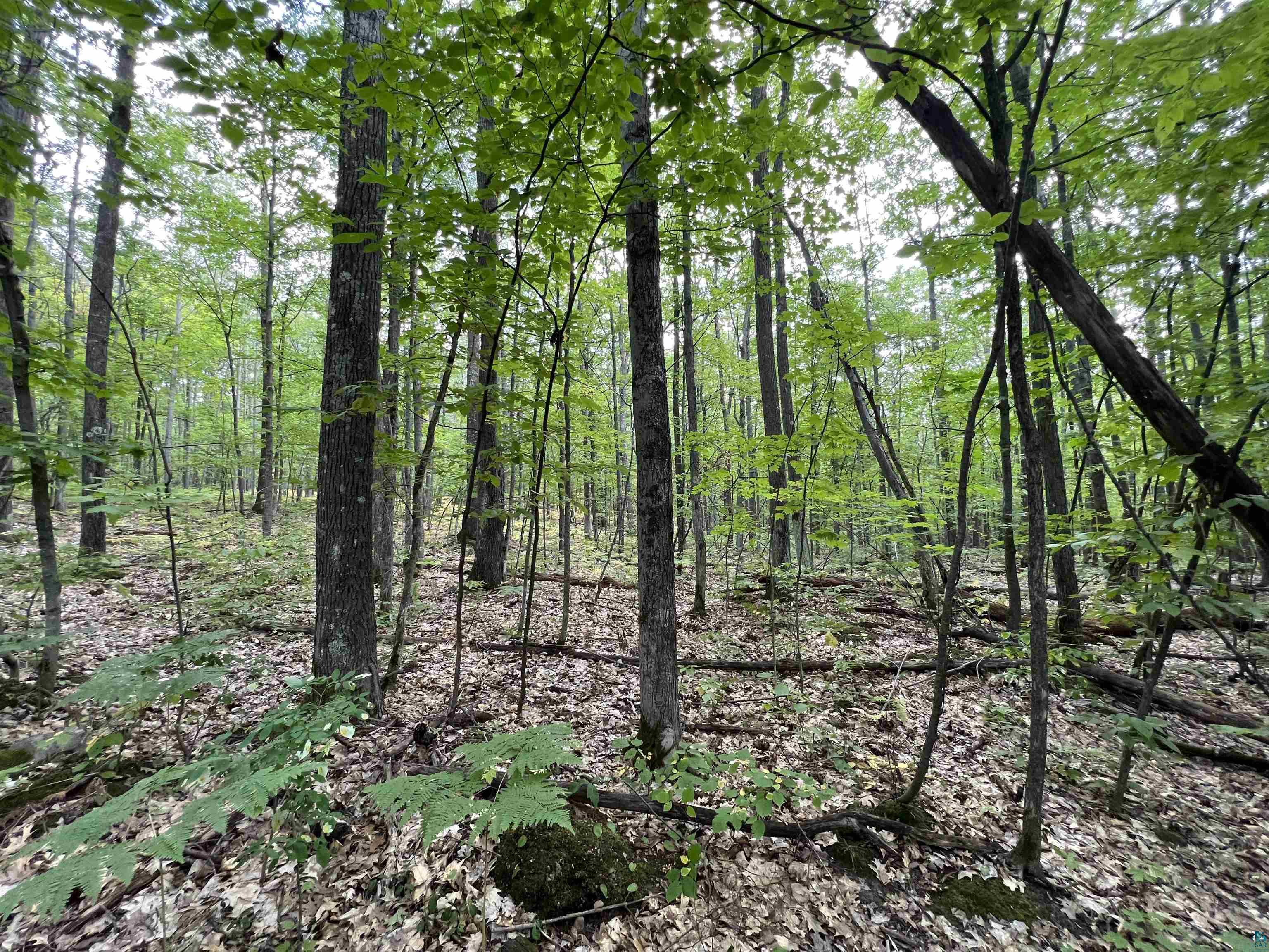 Xxxx South Maple Hill Road Washburn, WI 54891 - Photo 14 of 21 Gallery Image 14