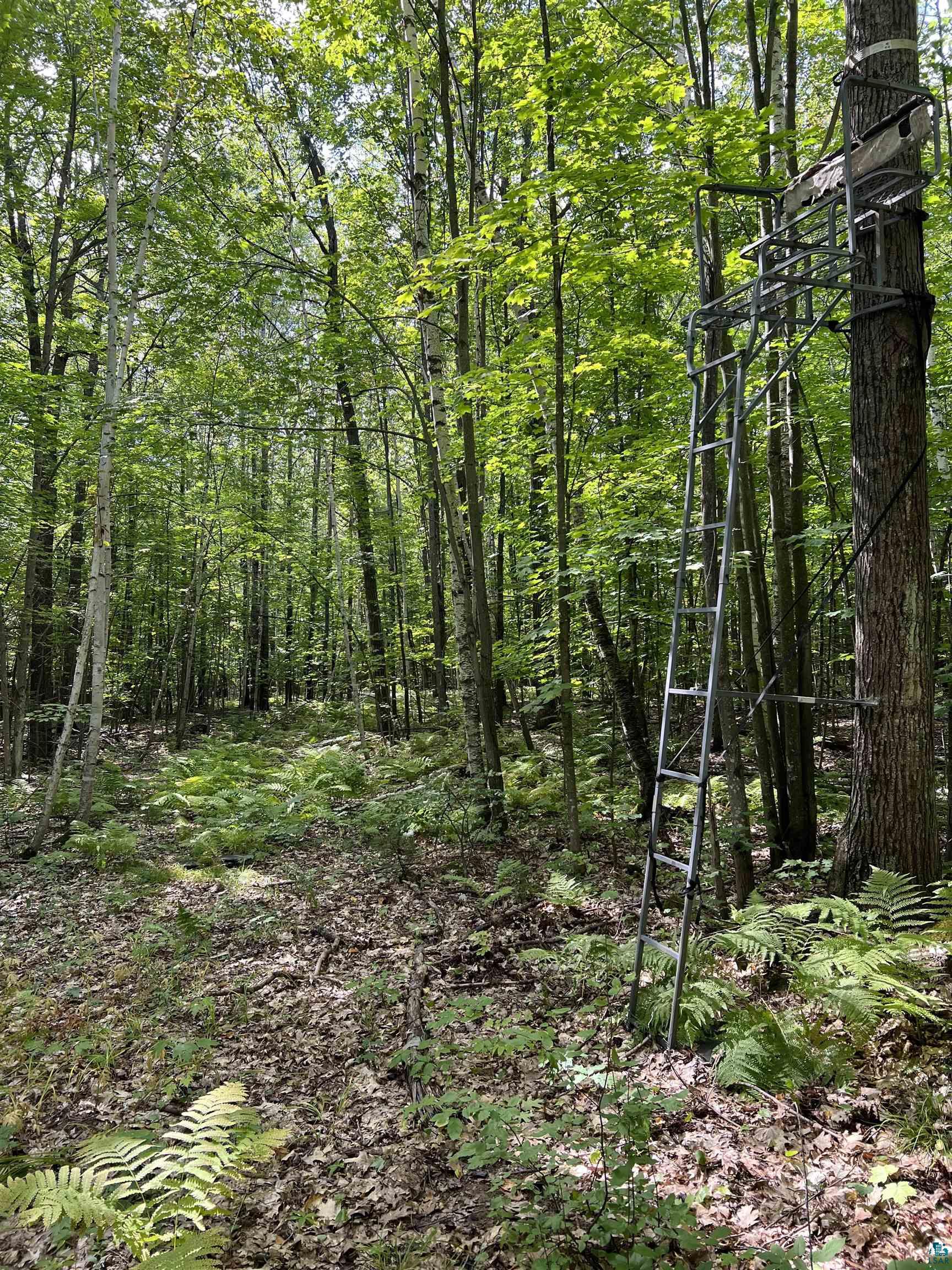 Xxxx South Maple Hill Road Washburn, WI 54891 - Photo 15 of 21 Gallery Image 15