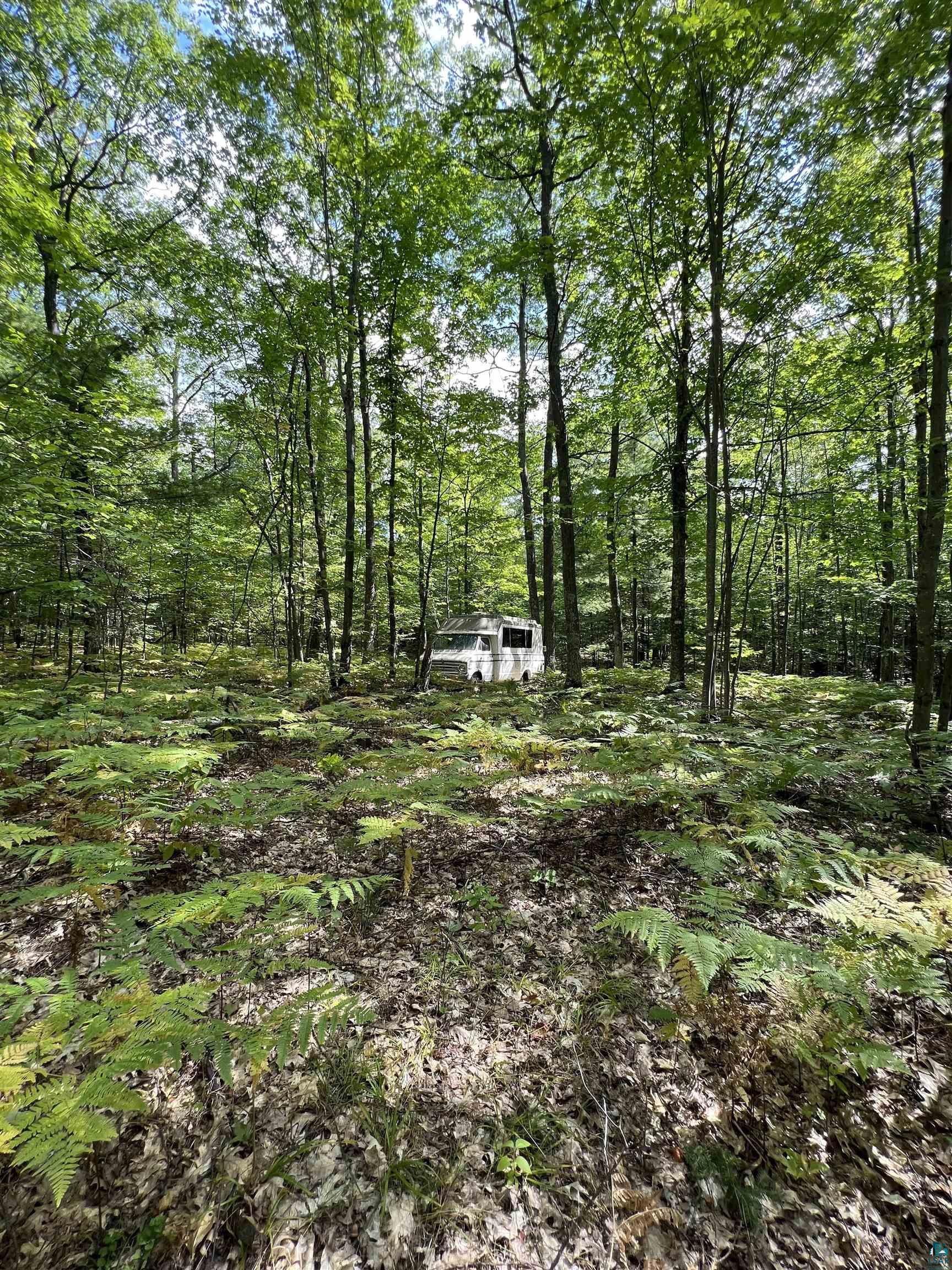 Xxxx South Maple Hill Road Washburn, WI 54891 - Photo 17 of 21 Gallery Image 17