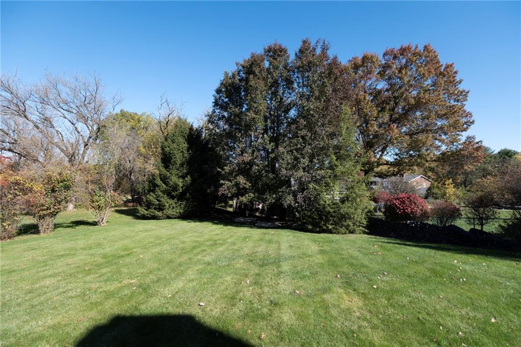 309 Jefferson Street Export, PA 15632 - Photo 4 of 43 a view of an outdoor space and a yard