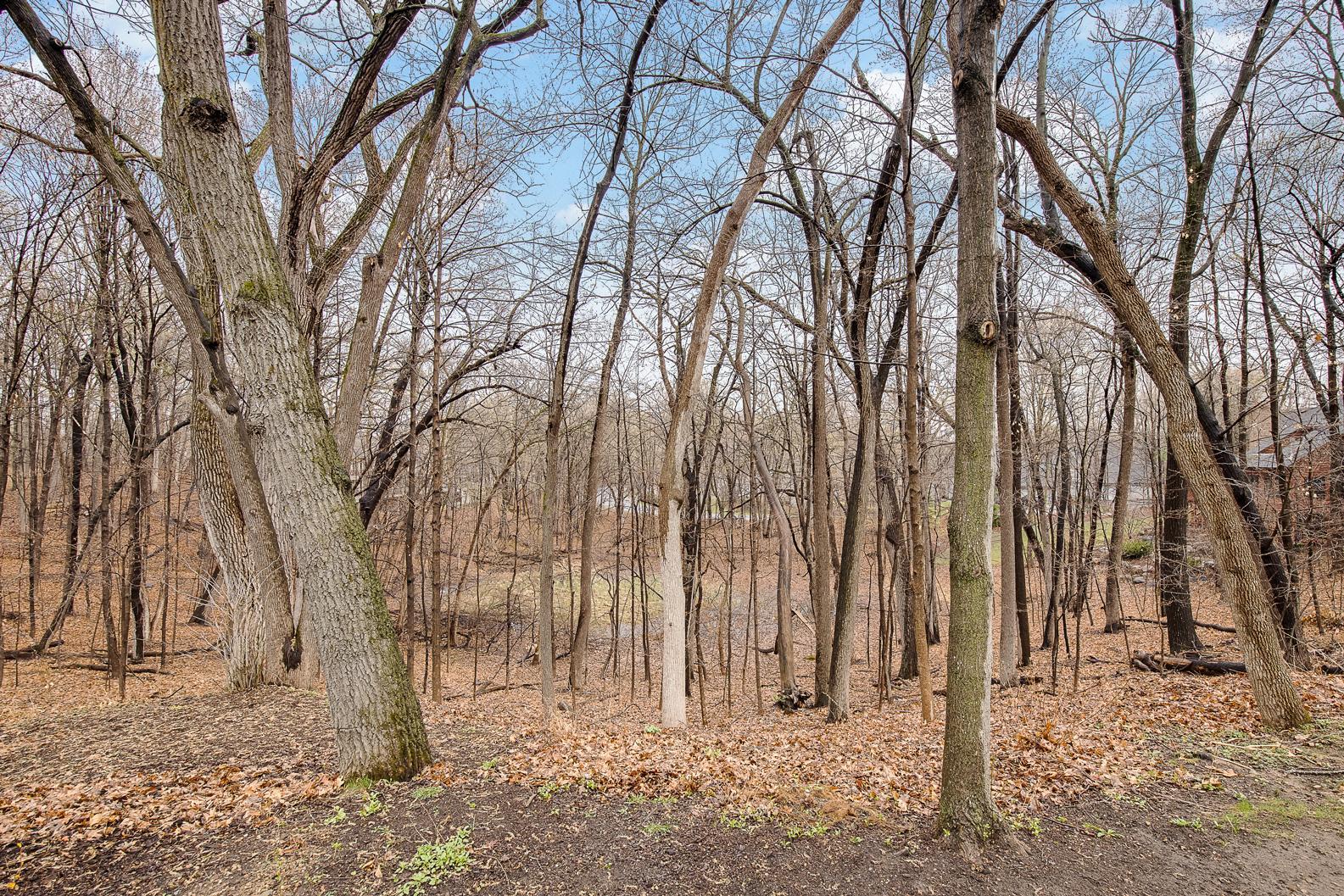 20620 Garden Road Shorewood, MN 55331 - Photo 89 of 100 Gallery Image 89