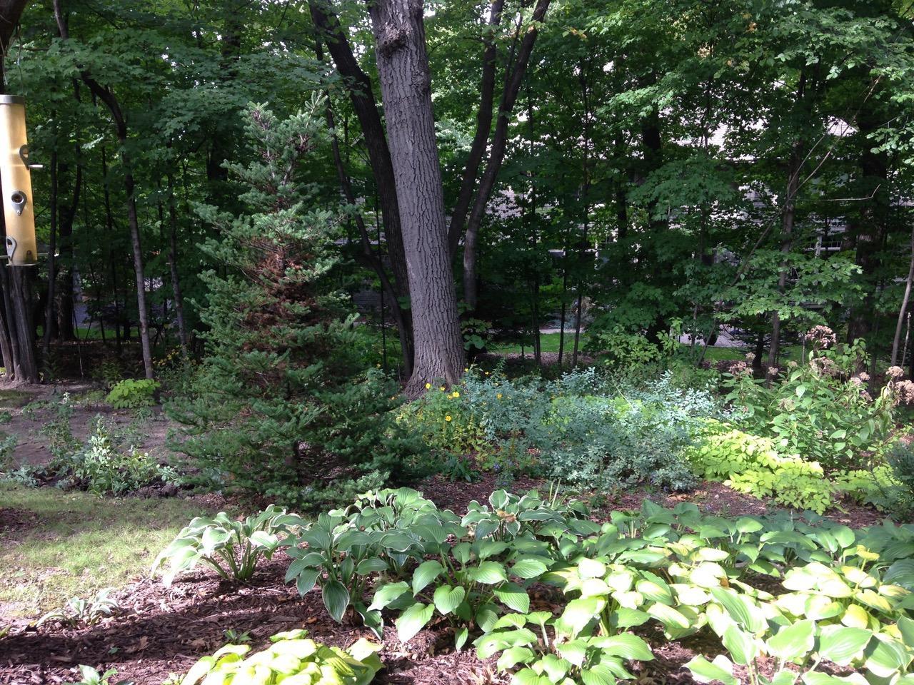 20620 Garden Road Shorewood, MN 55331 - Photo 96 of 100 Gallery Image 96
