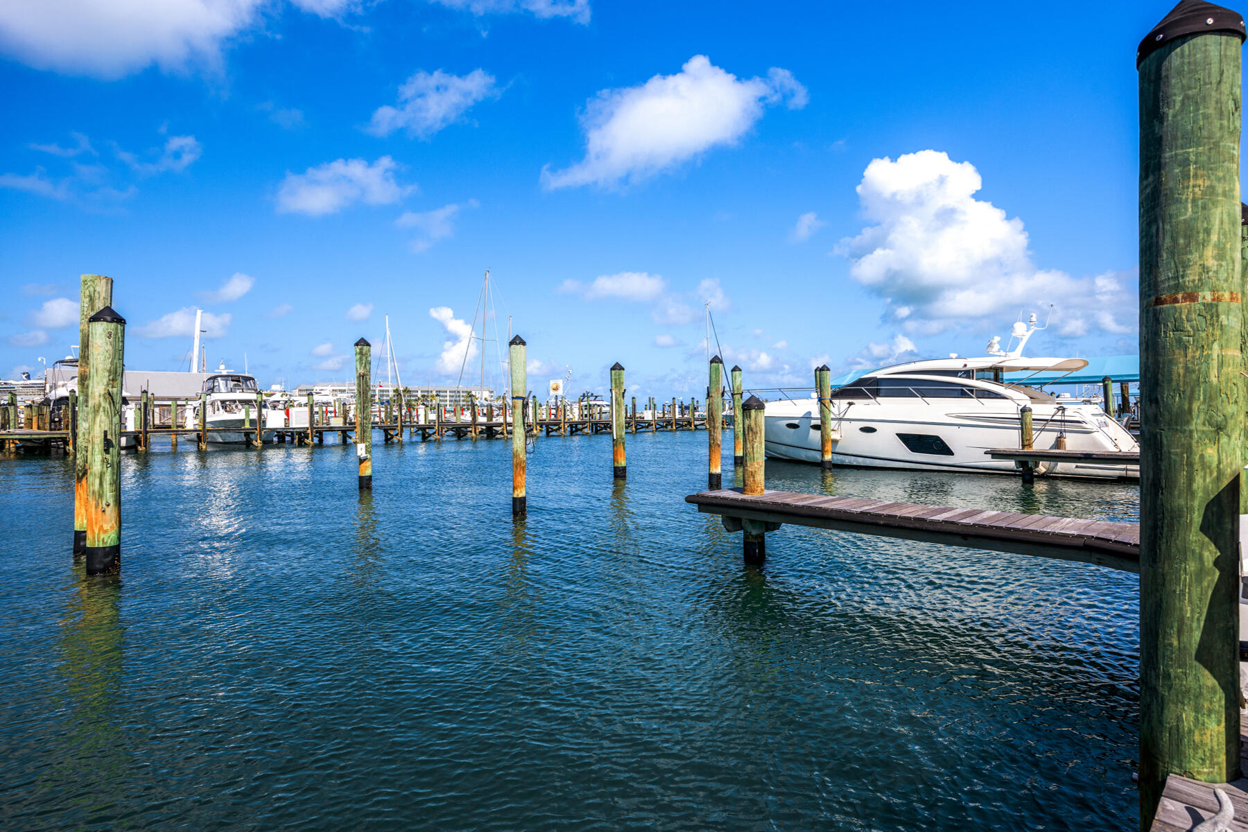 951 Caroline Street, Unit 19 Key West, FL 33040 - Photo 1 of 29 951 Caroline St_1oakstudios_04