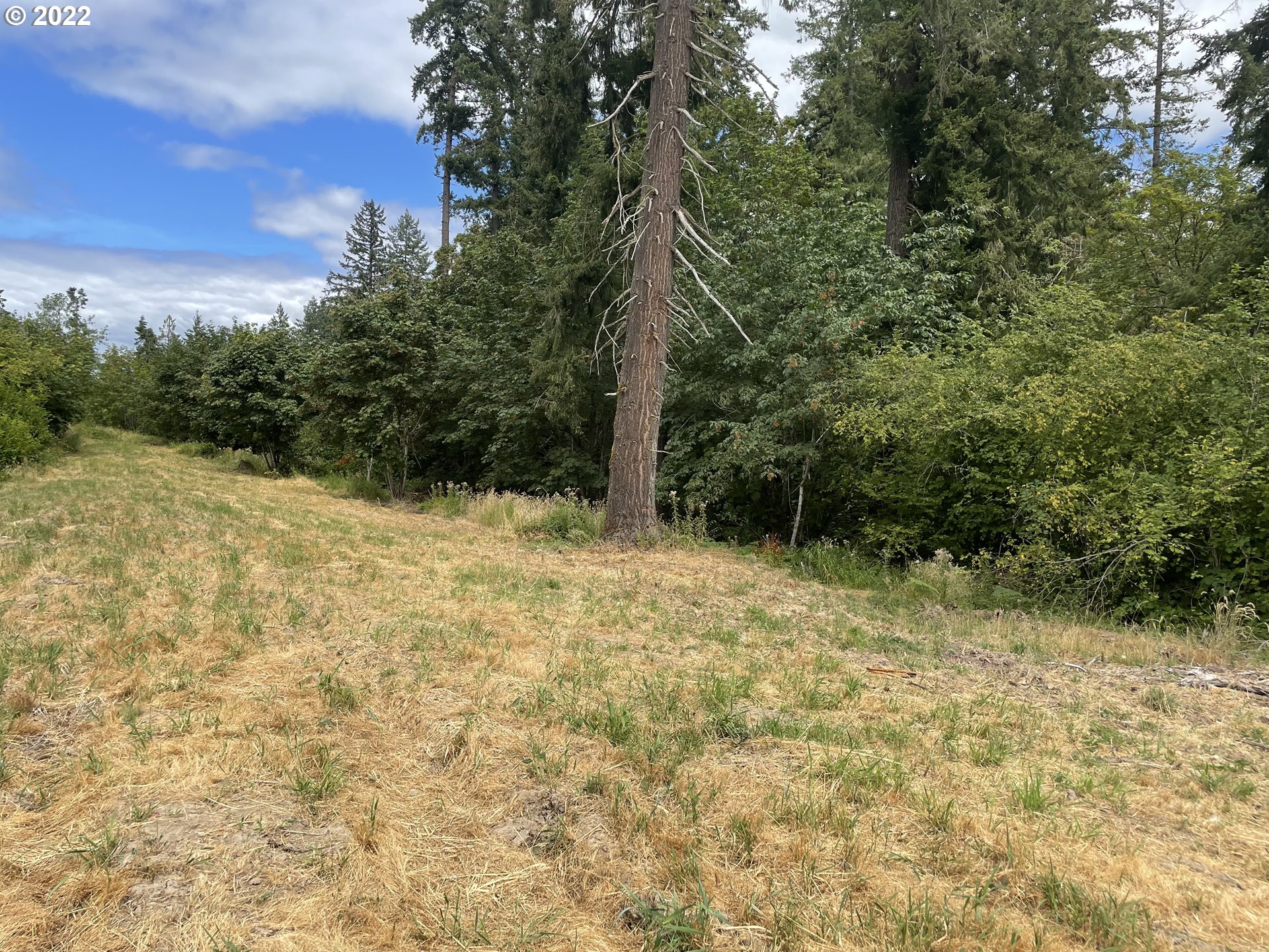 0 South Lake River Terrace Ridgefield, WA 98642 - Photo 3 of 10 a backyard of a house with lots of green space