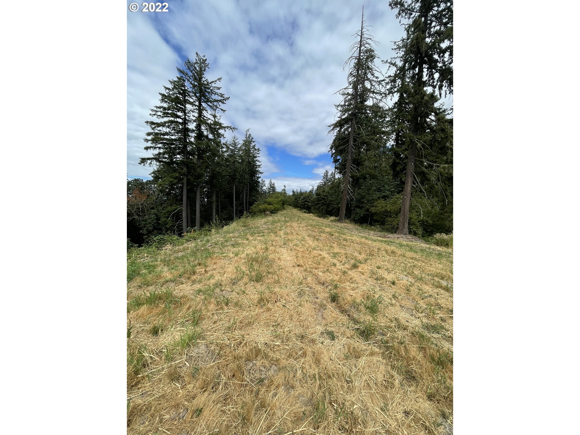 0 South Lake River Terrace Ridgefield, WA 98642 - Photo 5 of 10 a view of a yard