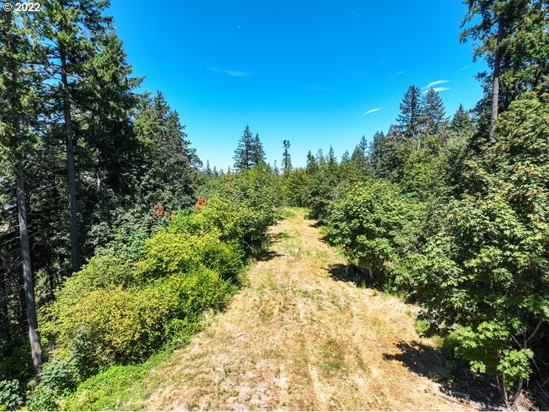 0 South Lake River Terrace Ridgefield, WA 98642 - Photo 10 of 10 a view of a pathway both side of yard