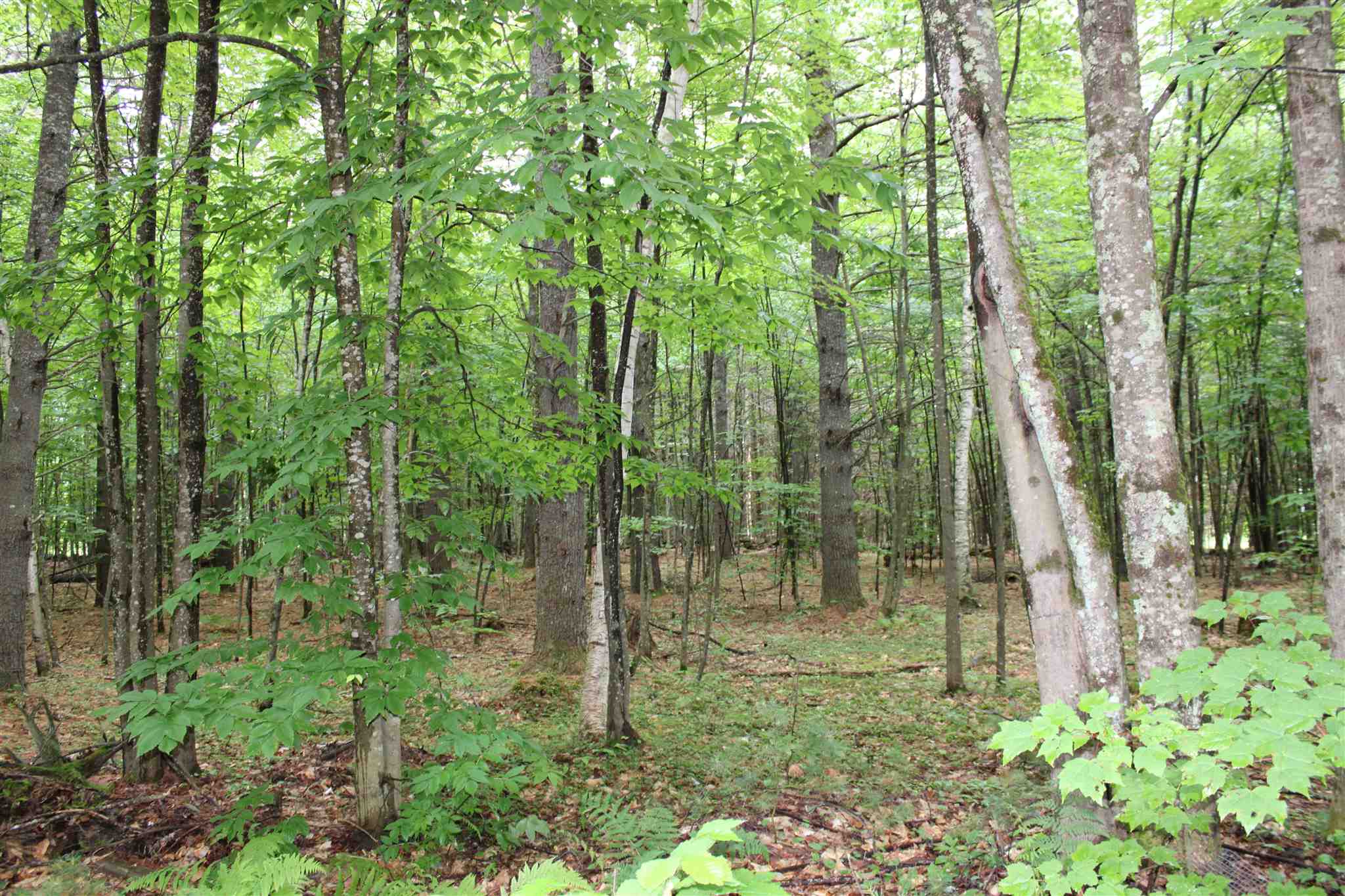 797 North Line Road Tuftonboro, NH 03816 - Photo 34 of 39