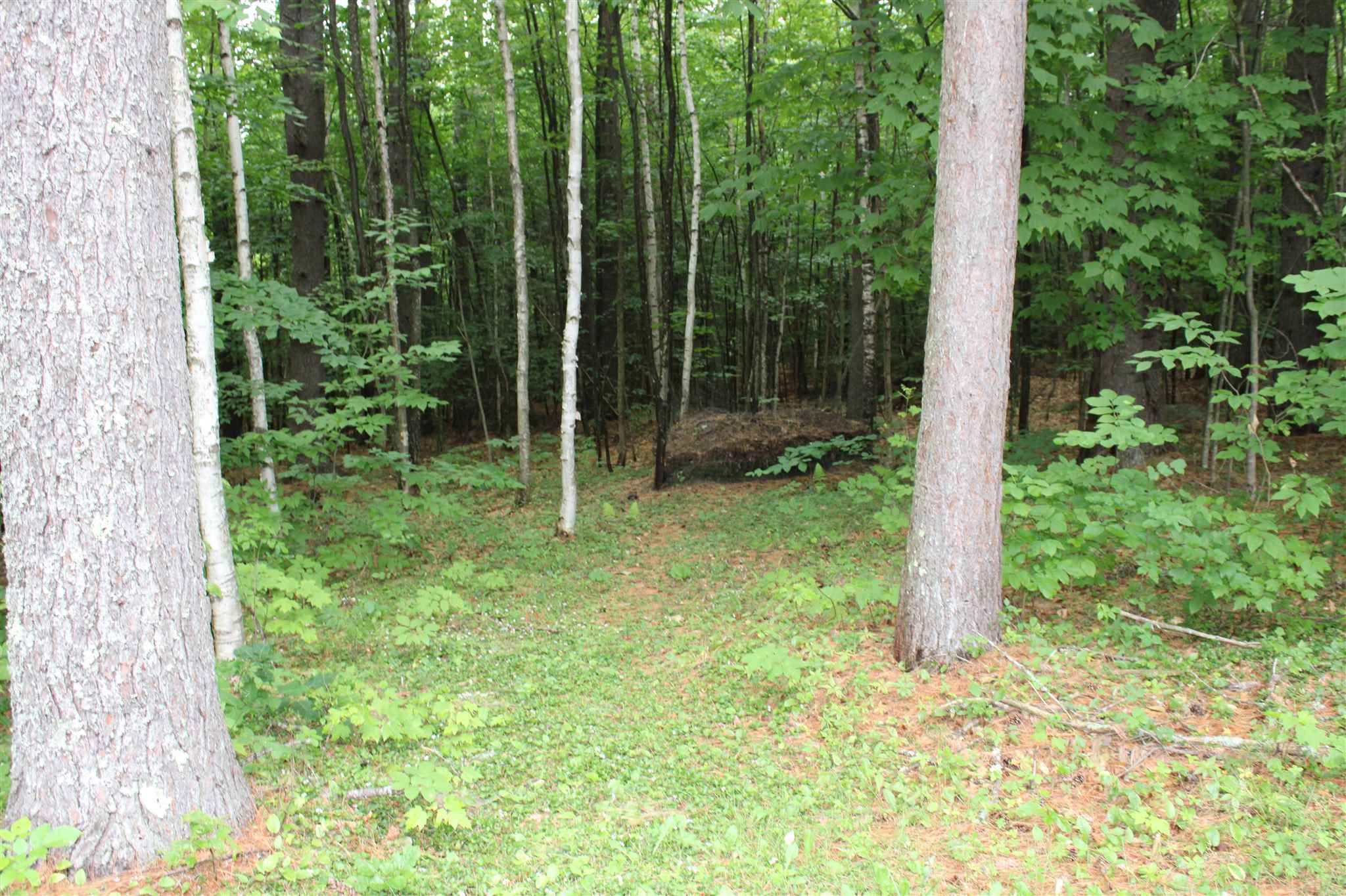 797 North Line Road Tuftonboro, NH 03816 - Photo 35 of 39