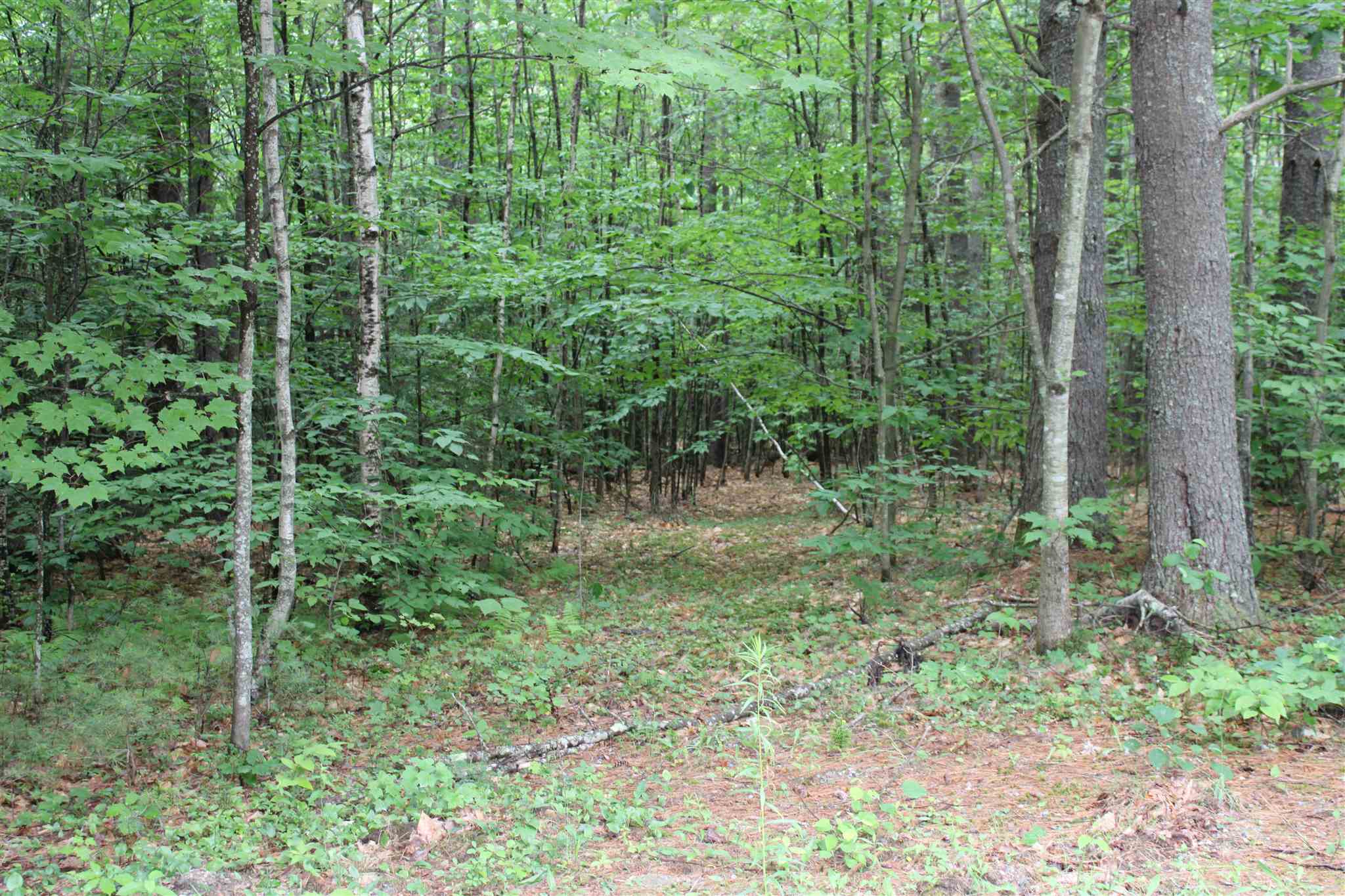 797 North Line Road Tuftonboro, NH 03816 - Photo 36 of 39