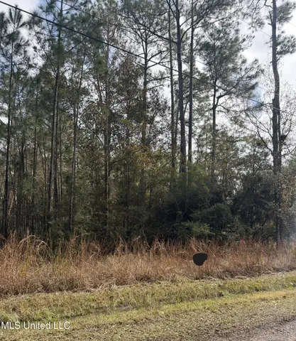 $4,000 | 0 Smith Street, Bay St. Louis, MS 39520