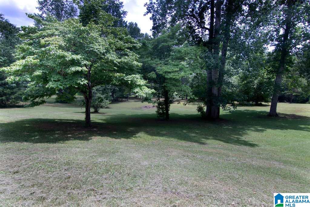 231 County Road 2012 Delta, AL 36258 - Photo 5 of 24