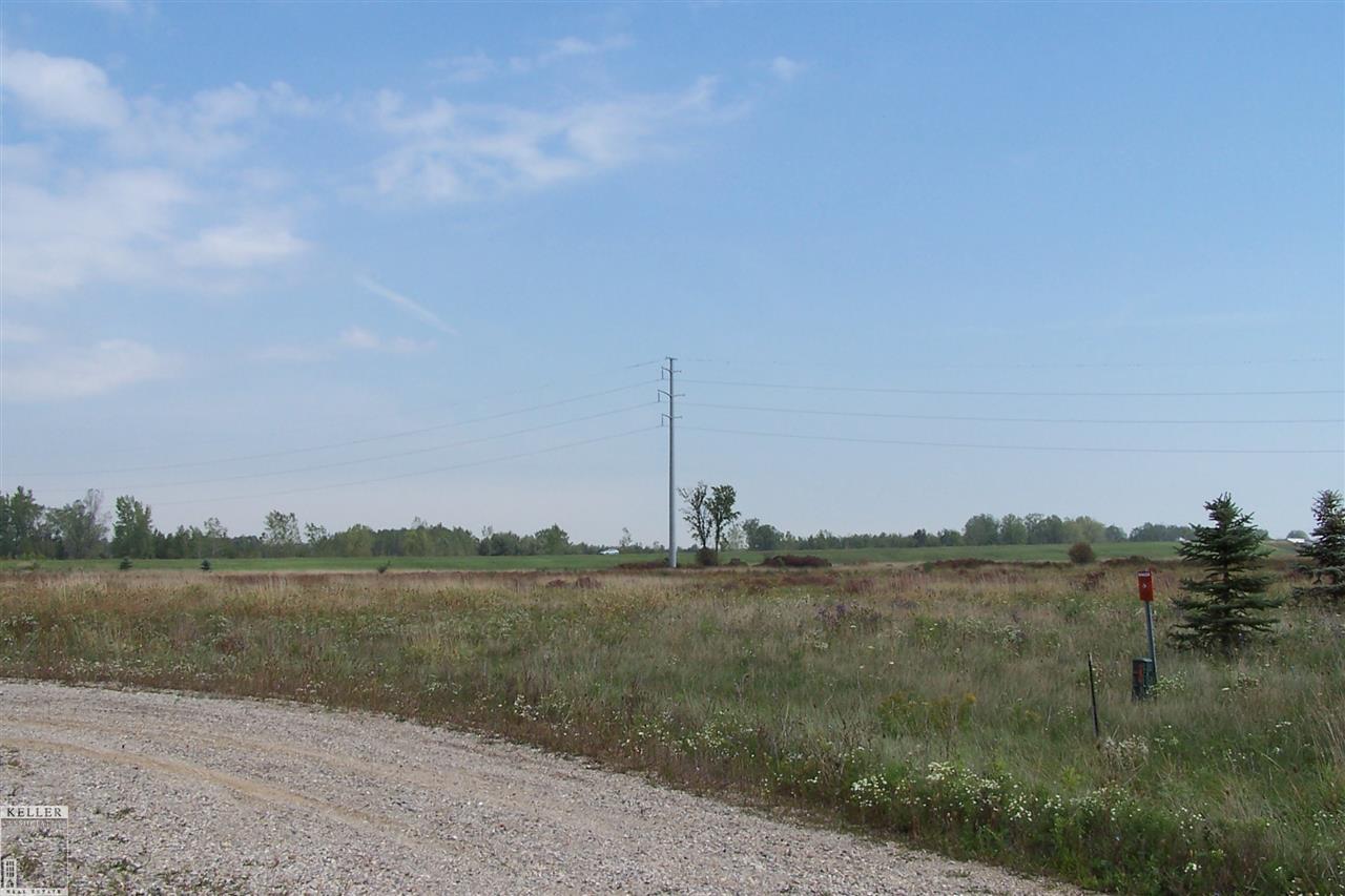 Parcel I-1 Parcel I-1 Ray Lane Imlay City, MI 48444 - Photo 4 of 7