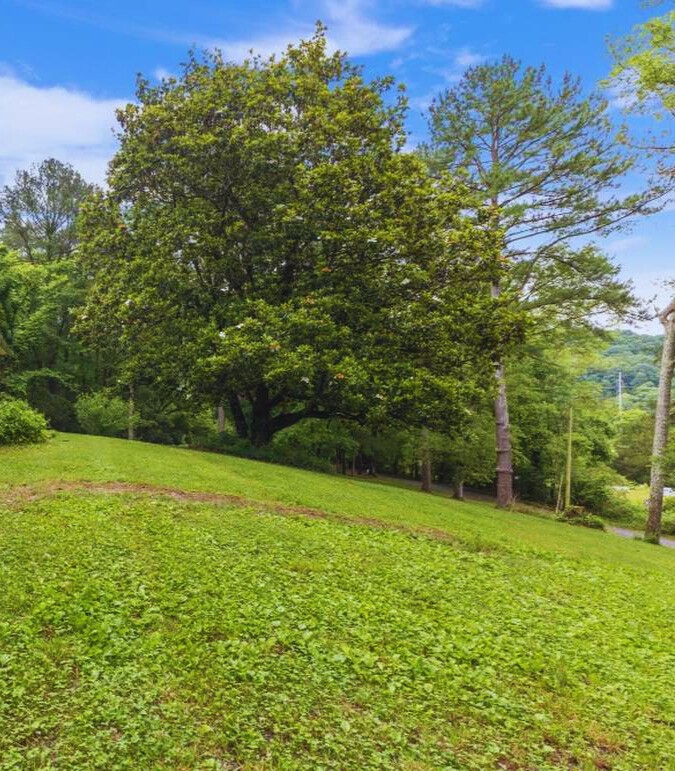 1080 Veterans Road Ashland City, TN 37015 - Photo 4 of 35 a view of a field with an trees