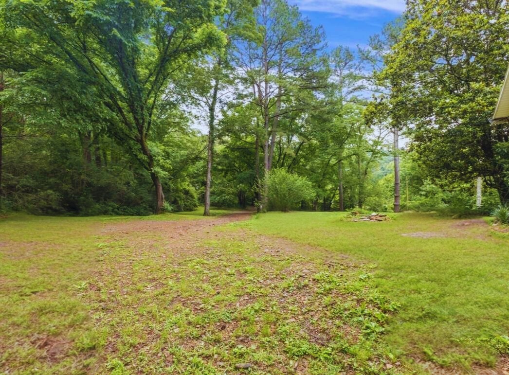 1080 Veterans Road Ashland City, TN 37015 - Photo 5 of 35 a view of outdoor space and yard