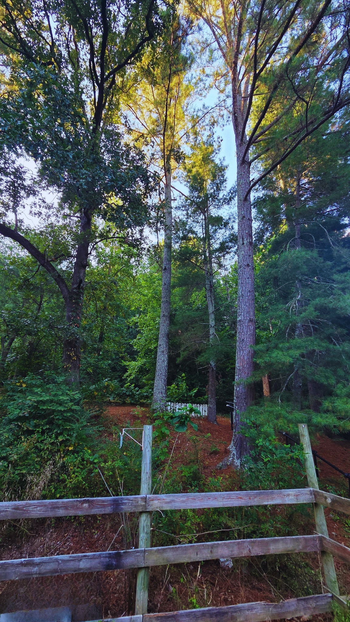 1080 Veterans Road Ashland City, TN 37015 - Photo 7 of 35 a view of a bench in a garden