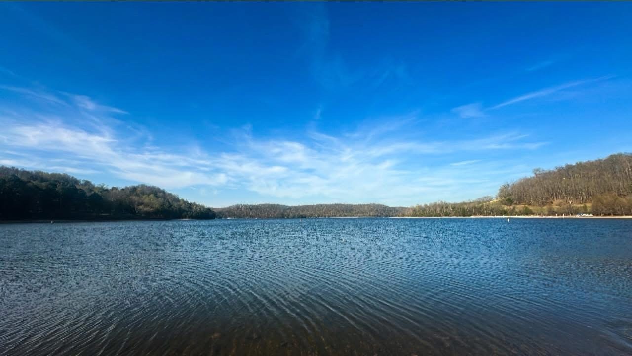 96 Sarvis Ridge Road Normandy, TN 37360 - Photo 2 of 30