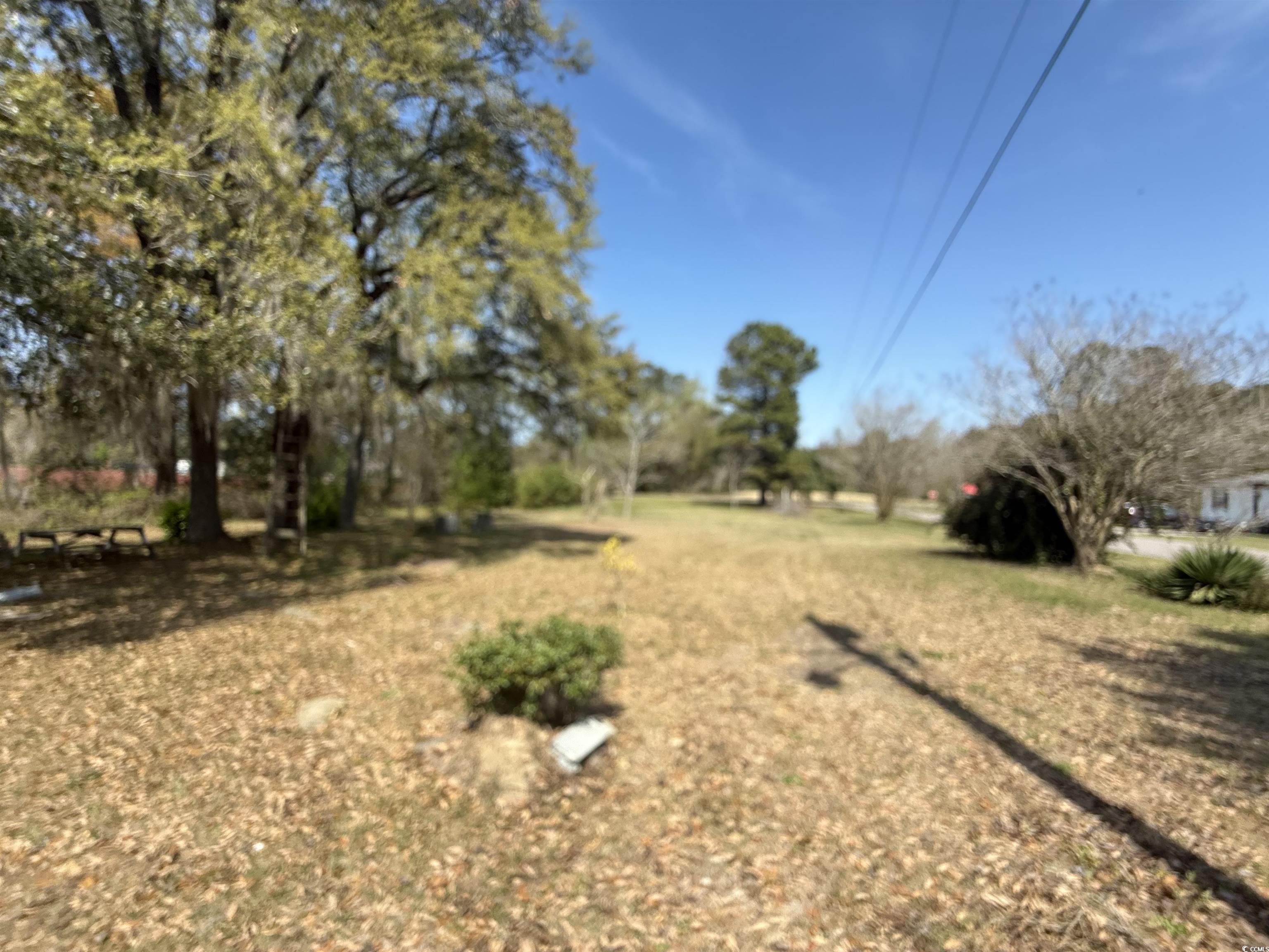 376 Bryants Landing Road Conway, SC 29526 - Photo 3 of 4