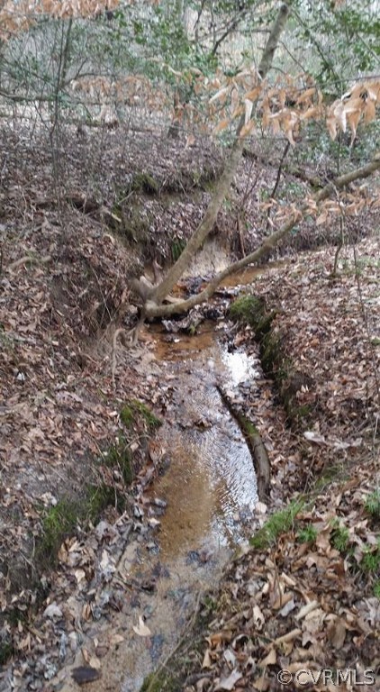 0 Grubby Road Blackstone, VA 23824 - Photo 2 of 13 a view of a forest with a tree