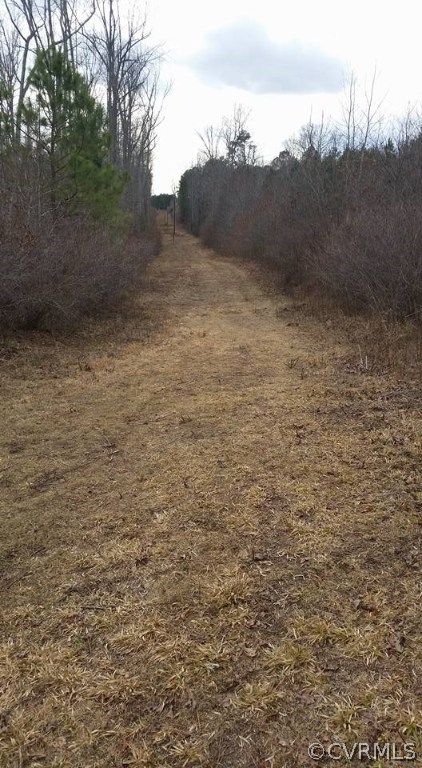 0 Grubby Road Blackstone, VA 23824 - Photo 6 of 13 a view of mountain