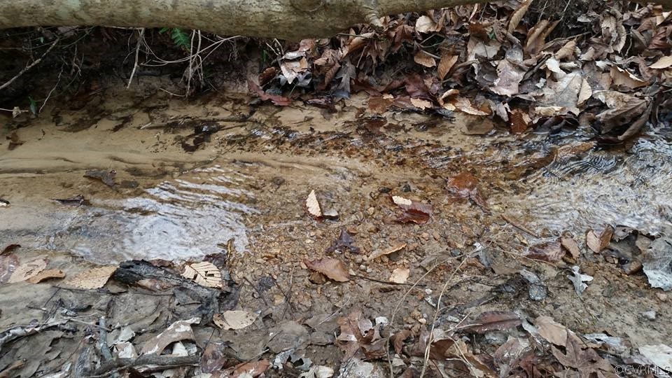 0 Grubby Road Blackstone, VA 23824 - Photo 8 of 13 a view of a yard