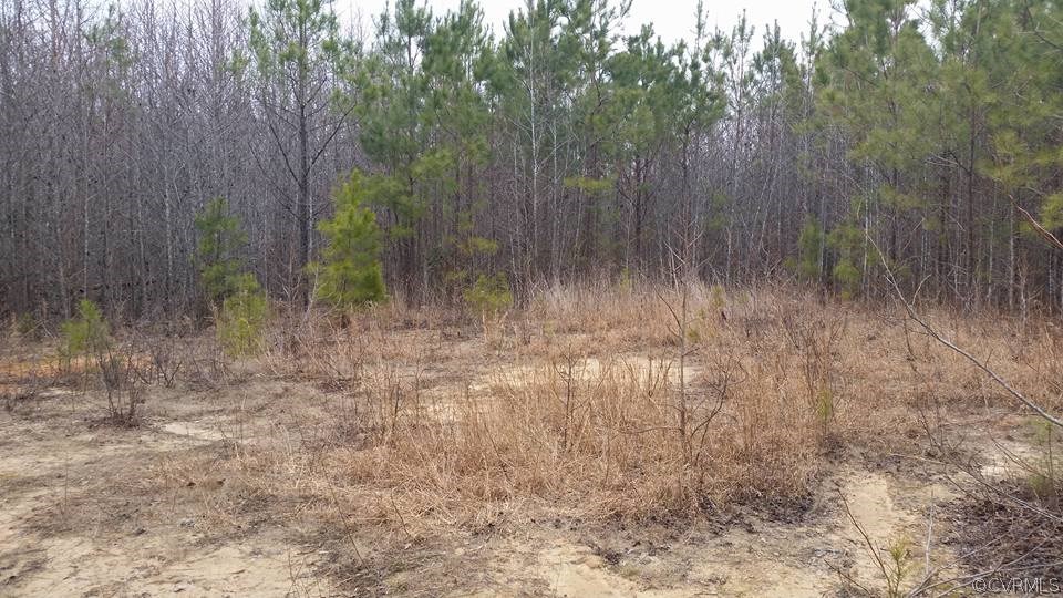 0 Grubby Road Blackstone, VA 23824 - Photo 9 of 13 a view of a yard